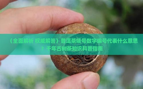 普洱茶的标号代表什么