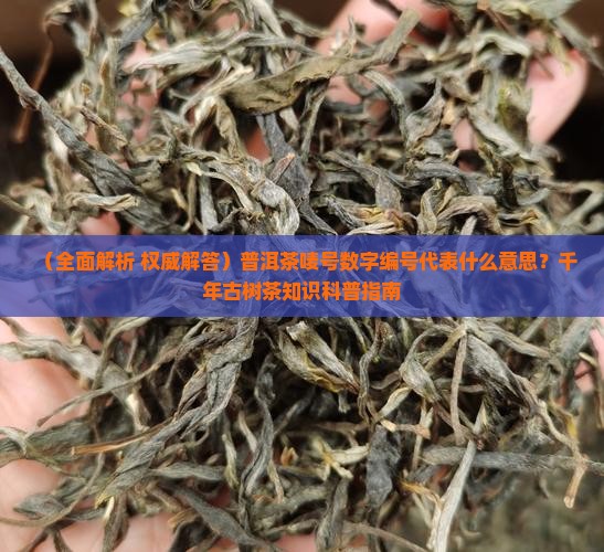 普洱茶的标号代表什么