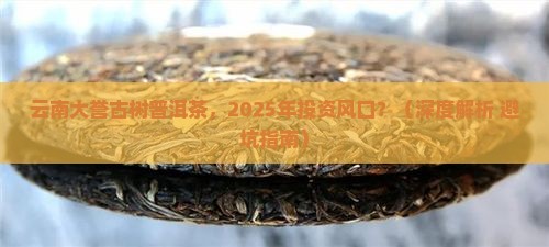 云南大誉古树普洱茶