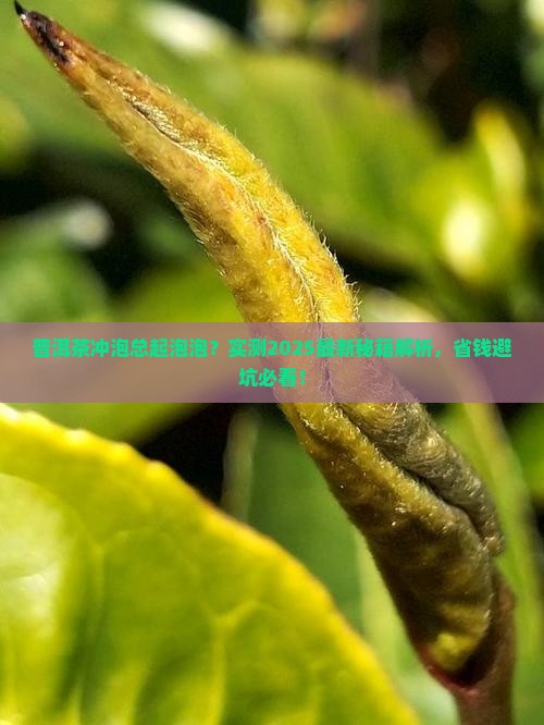 普洱茶冲泡有气泡
