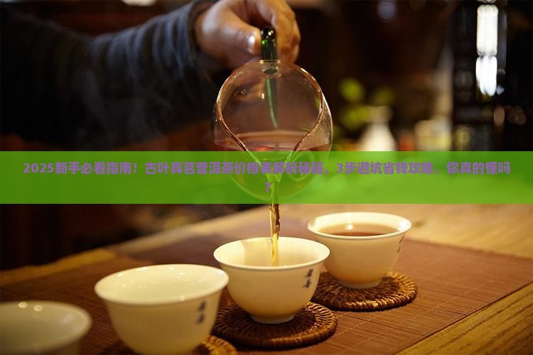 古叶真茗普洱茶价格表