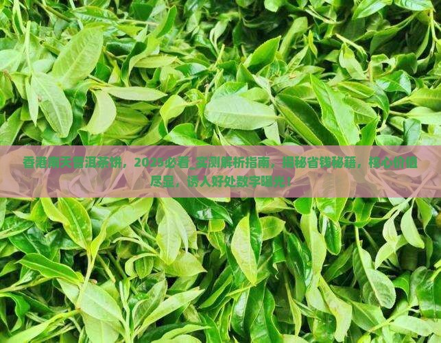 香港南天普洱茶饼