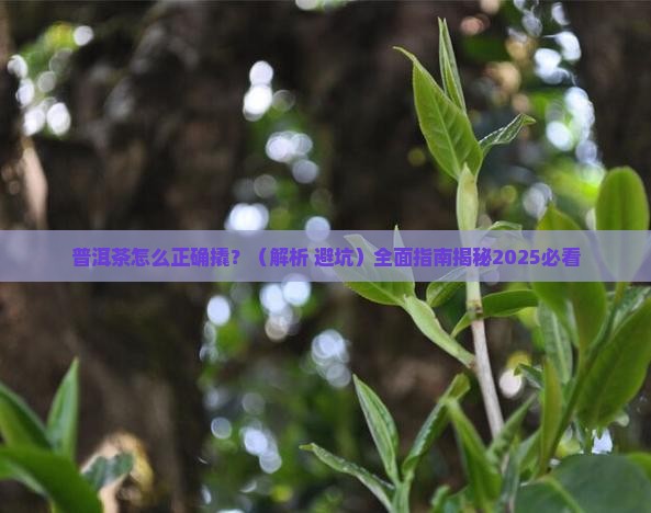 普洱茶的正确撬法