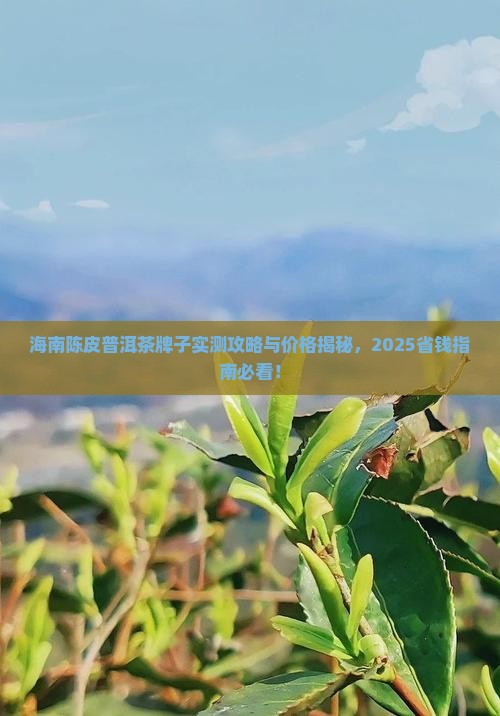 海南陈皮普洱茶牌子