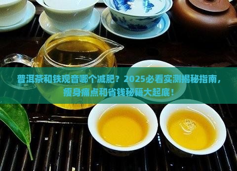 普洱茶和铁观音哪个减肥