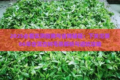 下关沱茶06年仓洱古树毛茶