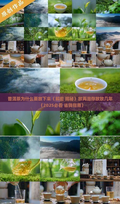 普洱茶为什么要放下来