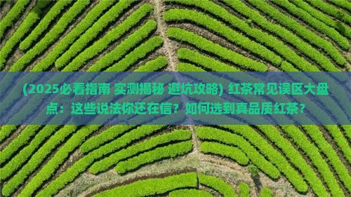 下列关于红茶说法不正确的是