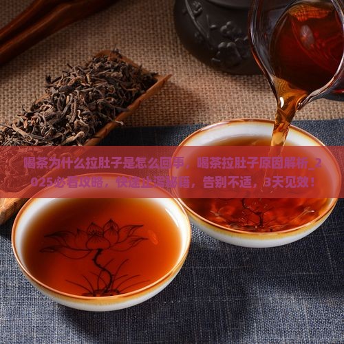 喝茶为什么拉肚子是怎么回事