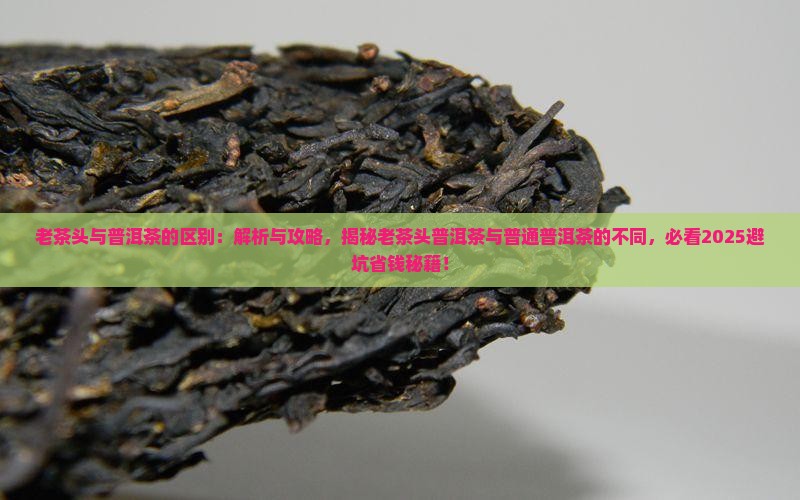 老茶头与普洱茶的区别