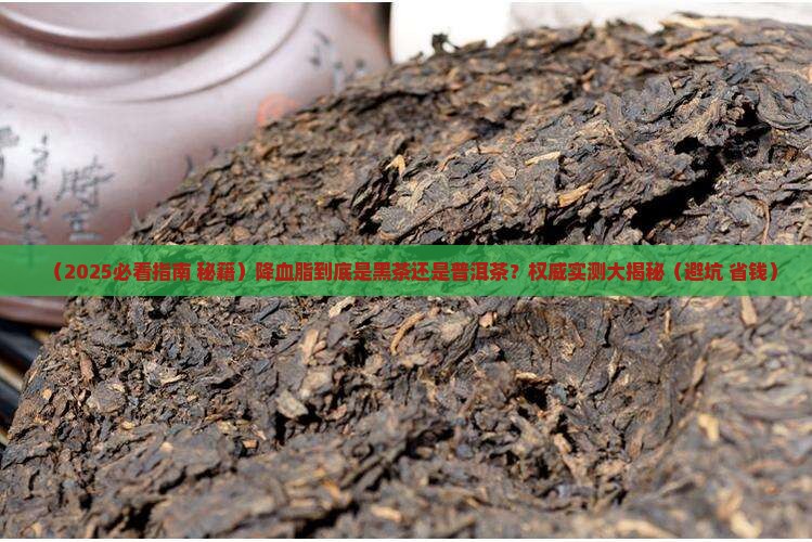 降血脂的是黑茶还是普洱茶