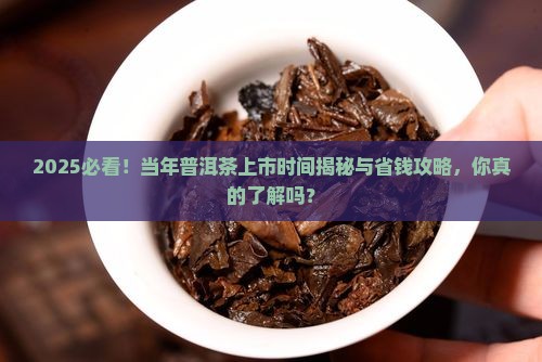 当年普洱茶上市时间
