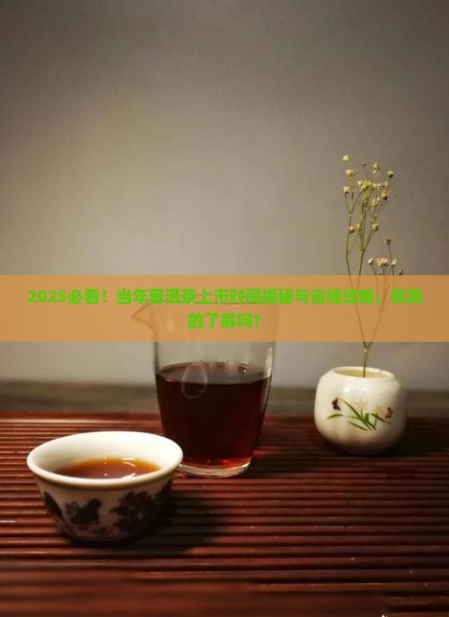 当年普洱茶上市时间