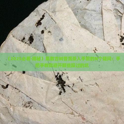 果敢吉树普洱茶