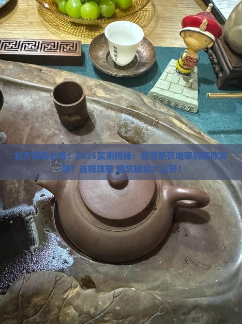 普洱茶在北方可以发酵