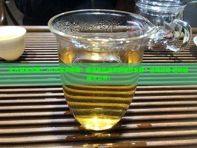 普洱茶在北方可以发酵