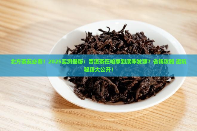 普洱茶在北方可以发酵