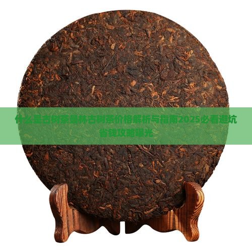 什么是古树茶曼林古树茶价格