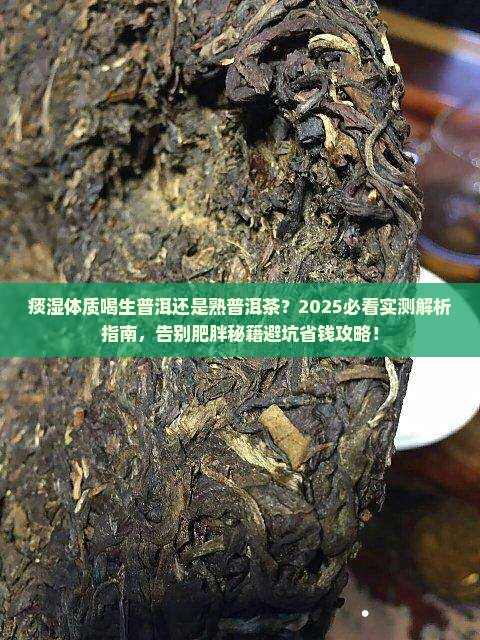 痰湿体质喝生普洱还是熟普洱茶
