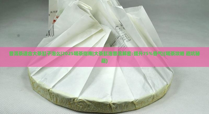 普洱茶适合大茶缸子泡么