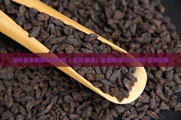 茶叶最多能保存多少年