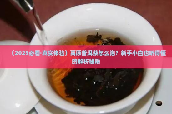 高原普洱茶怎么泡
