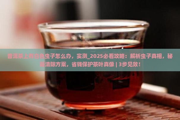 普洱茶上有白色虫子怎么办