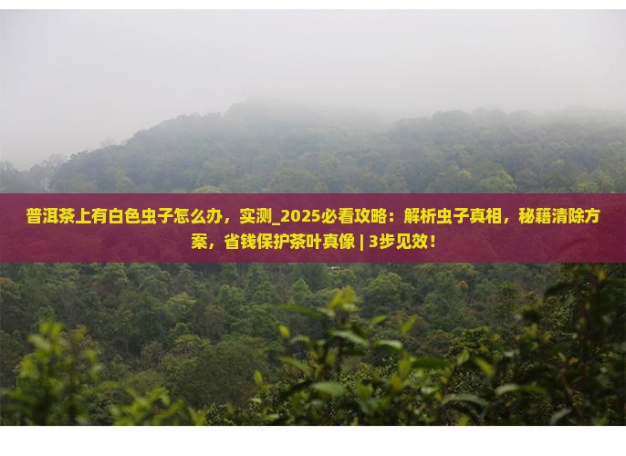 普洱茶上有白色虫子怎么办
