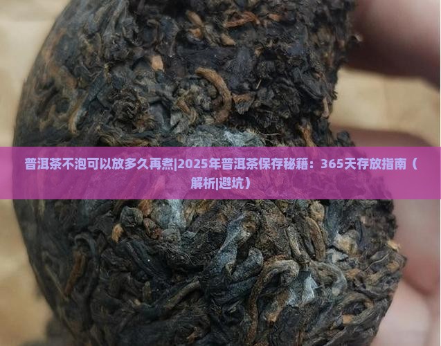 普洱茶不泡可以放多久再煮