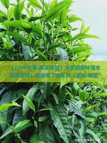 大枣和茶叶一起泡开水喝可以吗