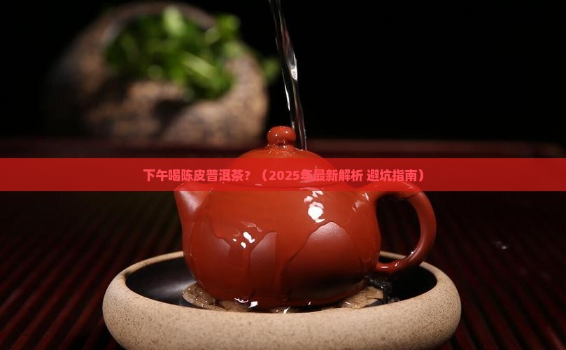 下午喝陈皮普洱茶