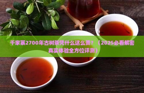 千家寨2700年古树茶