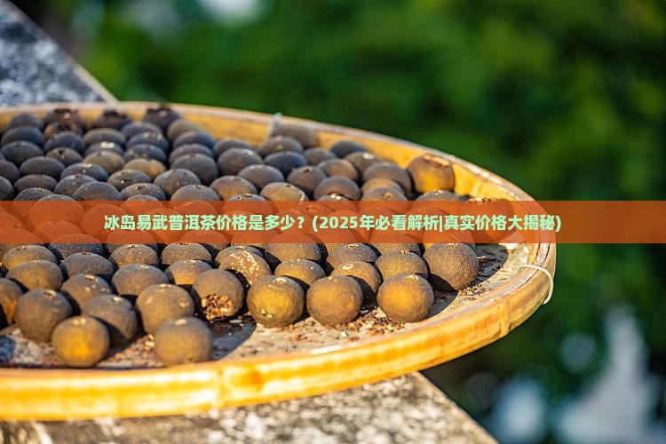 冰岛易武普洱茶价格