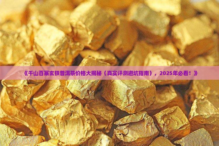 千山百寨玄铁普洱茶多少钱