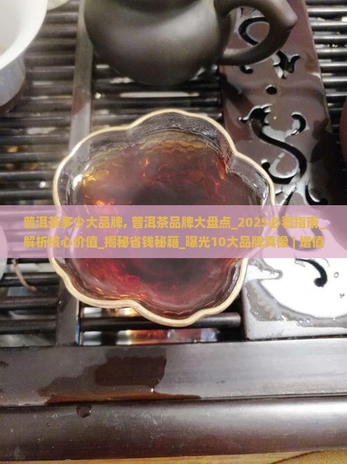 普洱茶多少大品牌