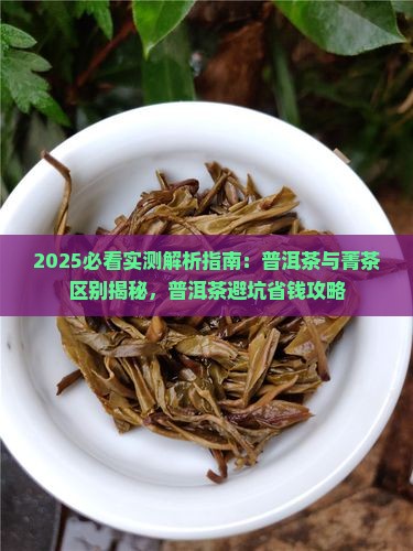 菁茶和普洱茶哪个好 菁茶和普洱茶哪个好
