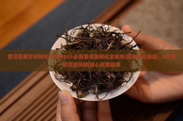 普洱茶要怎样转化才好