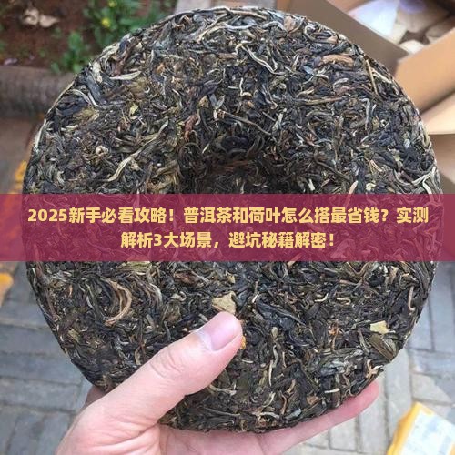 普洱茶可以和荷叶