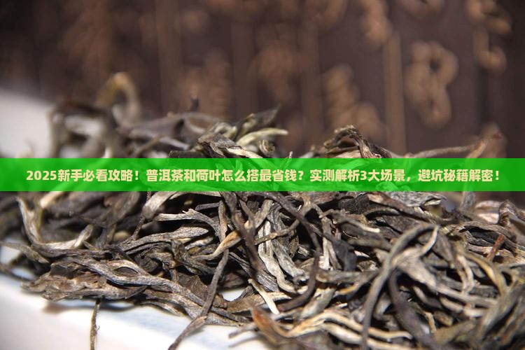 普洱茶可以和荷叶