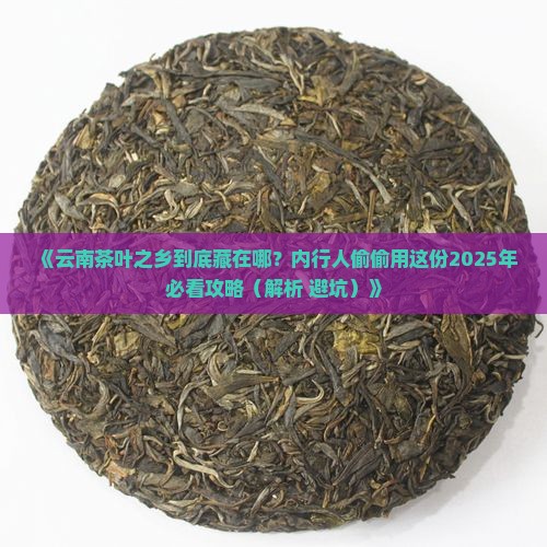 云南茶叶之乡都在什么地方
