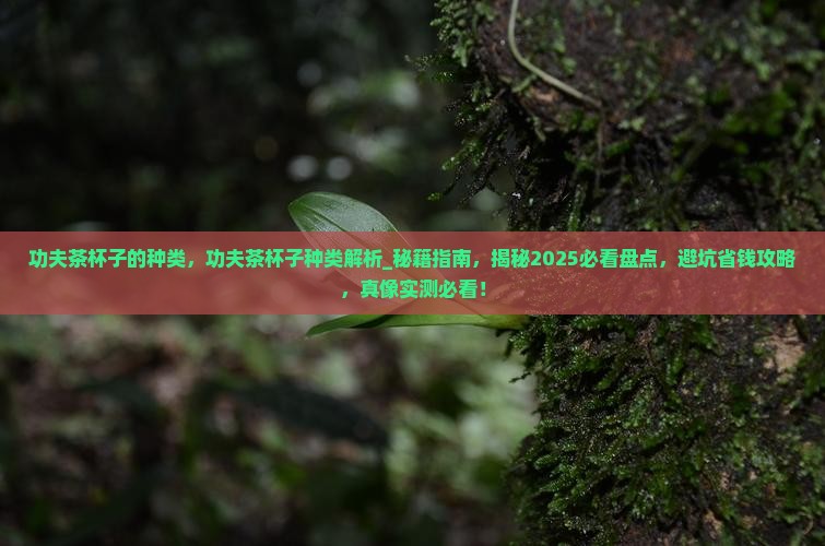 功夫茶杯子的种类