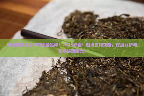 普洱茶常见品种有哪些品种