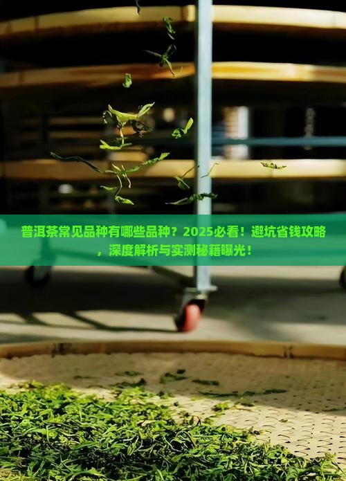 普洱茶常见品种有哪些品种