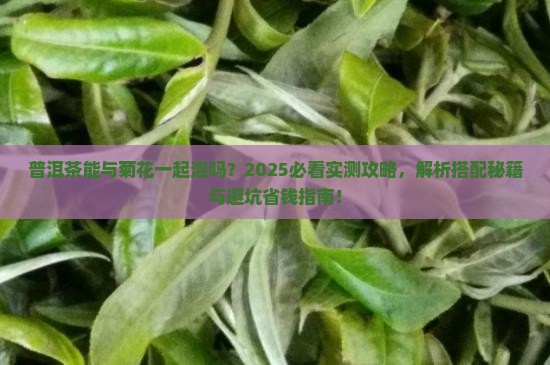 普洱茶能与菊花一起泡吗