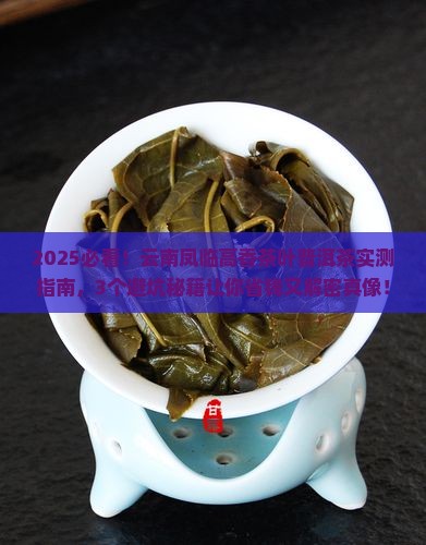 云南凤临高香茶叶普洱茶