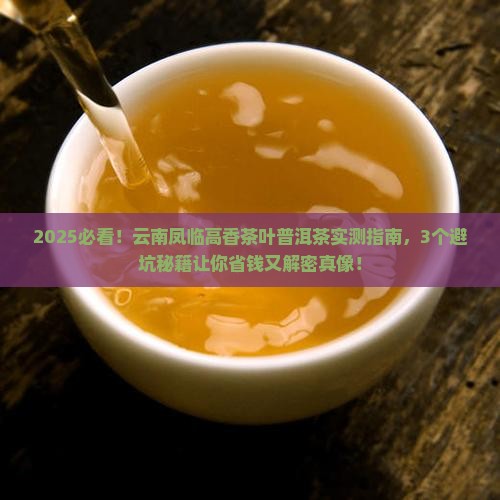 云南凤临高香茶叶普洱茶