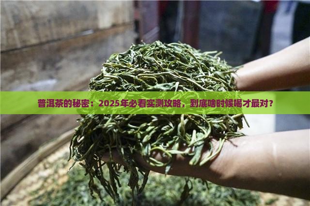 普洱茶是什么茶什么时候喝合适