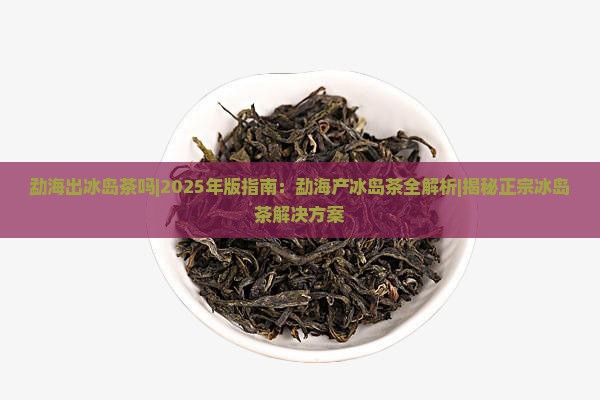 勐海出冰岛茶吗