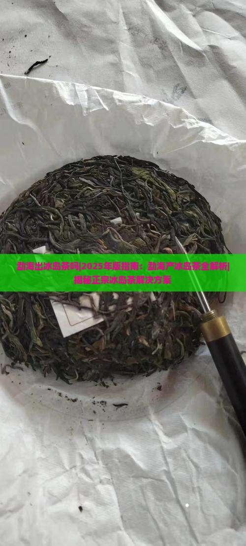 勐海出冰岛茶吗