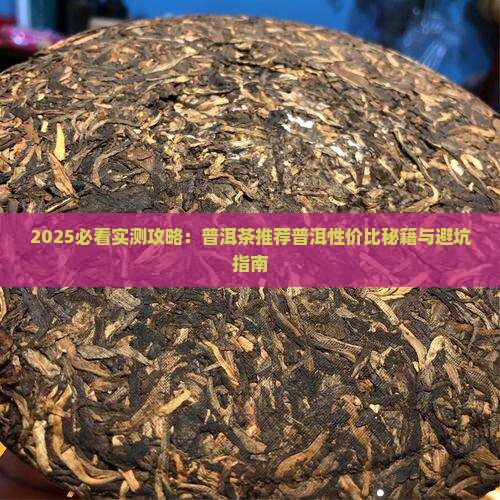 口粮普洱茶散茶推荐